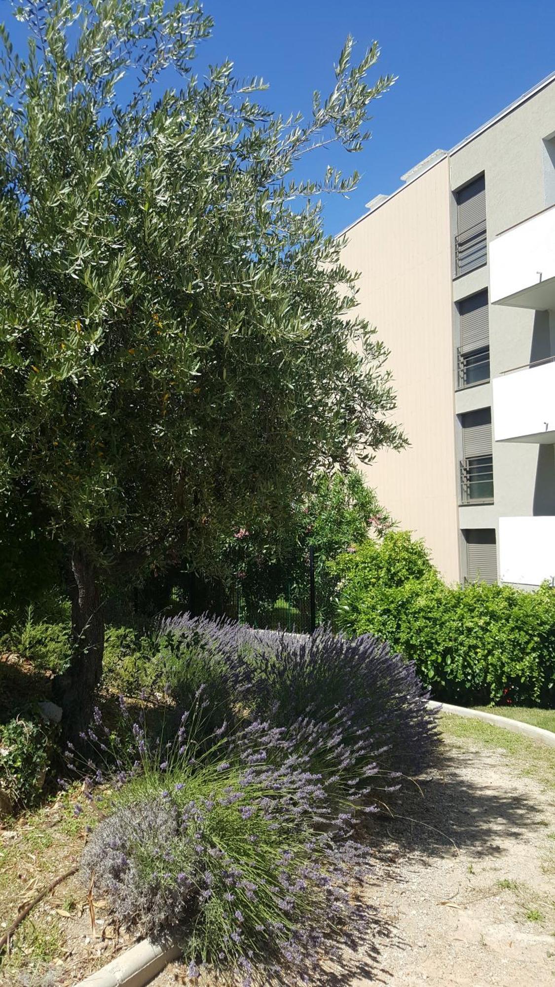 Apartamento Studio vista Antibes Exterior foto